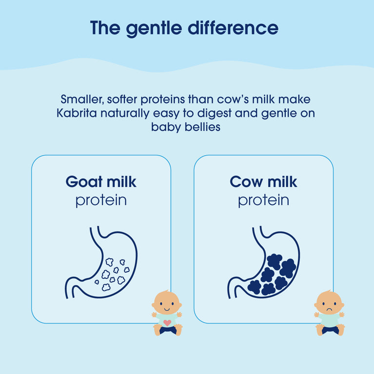 Kabrita 1 Goat Milk Infant Formula 400g