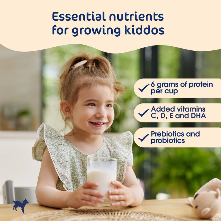Kabrita 4 Junior Goat Milk 400g